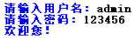 登录成功运行效果参考